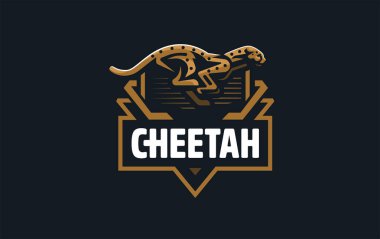 Bir çita görüntüsü.