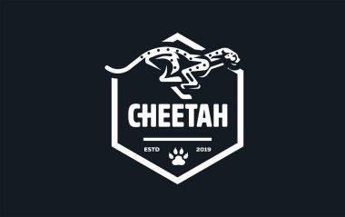 Bir çita görüntüsü.