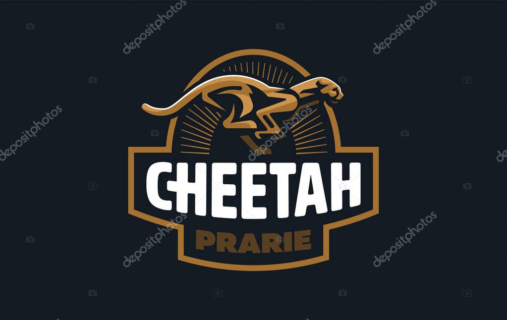 The image of a cheetah in a minimalist style.  Vector illustration