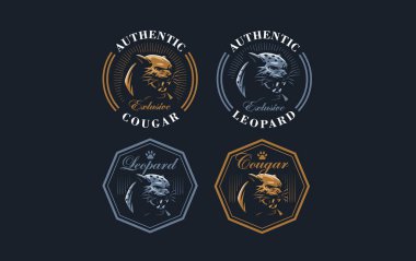 Bir puma veya panter görüntüsü.