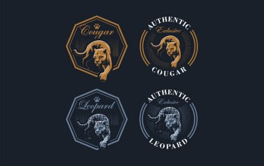 Bir puma veya panter görüntüsü.