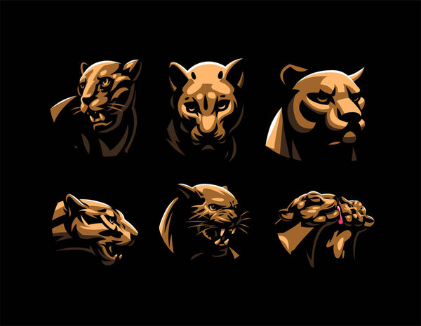 Wild cats. Jaguar, cheetah, leopard, panther.