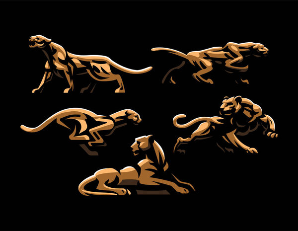 Wild cats. Jaguar, cheetah, leopard, panther.