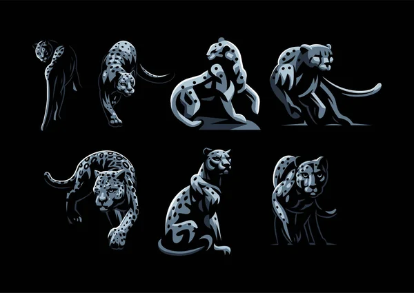 Gatos selvagens. Jaguar, chita, leopardo, pantera . —  Vetores de Stock