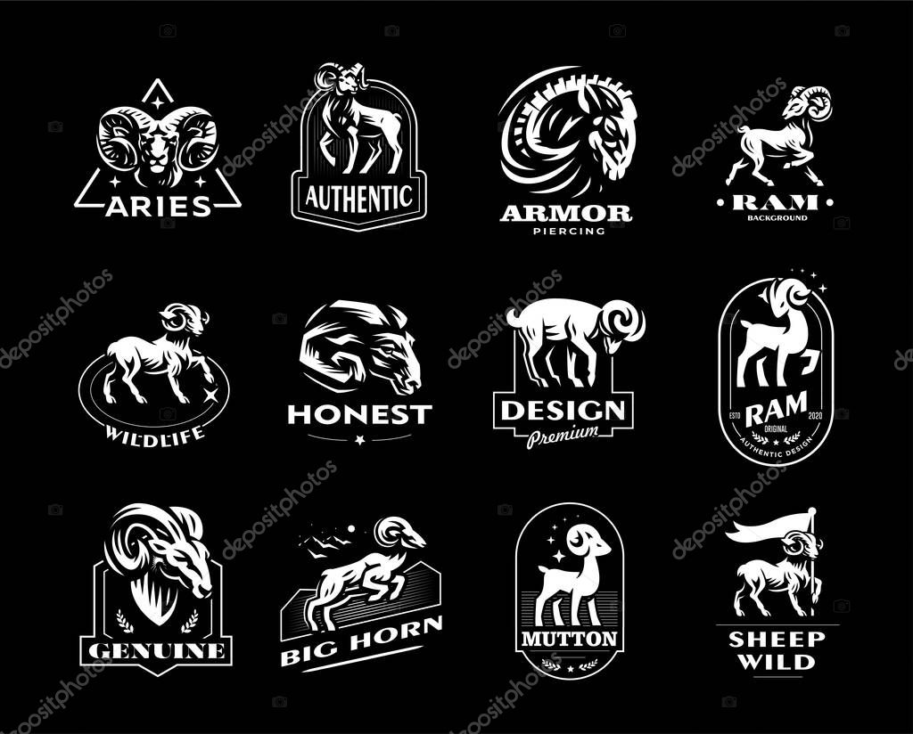 Collection of wild and domestic sheep. A ram, a sheep in various poses and a portrait. Vintage vector emblems.