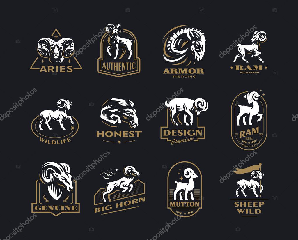 Collection of wild and domestic sheep. A ram, a sheep in various poses and a portrait. Vintage vector emblems.