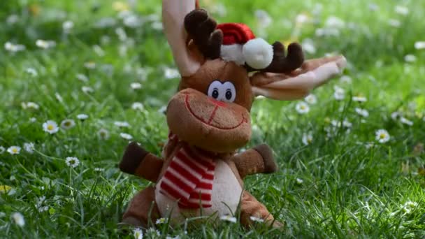 Rénszarvas Karácsonyi Jávorszarvas Vicces — Stock videók