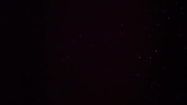 Частинки Пило Рожевий Ефект Темний — стокове відео