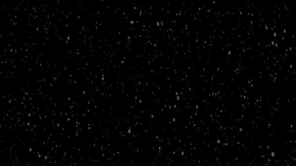 Snow Winter Snowfall Snowflakes — Stock Video