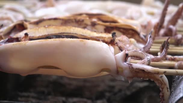 烧烤鱿鱼食品海鲜烧烤 — 图库视频影像