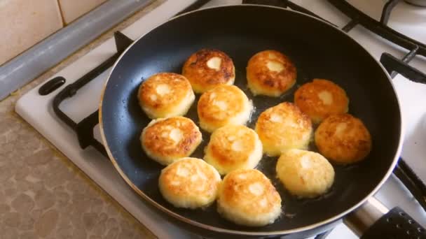 Hasch Brutzelt Käsekuchen Pfanne — Stockvideo