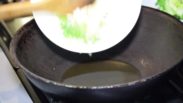 洋葱煎锅热 — 图库视频影像