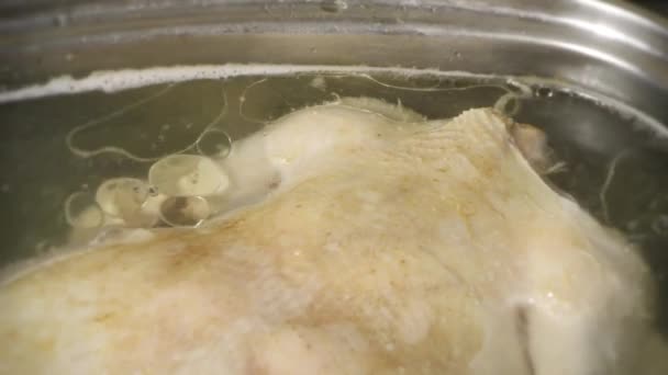 Nutrition Bouillon Poulet Cuisinier — Video