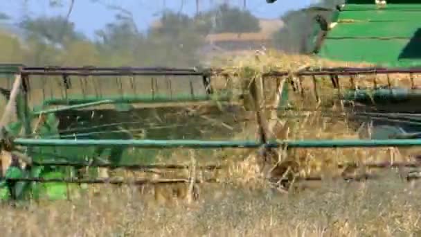 Трактор Польових Врожаях — стокове відео