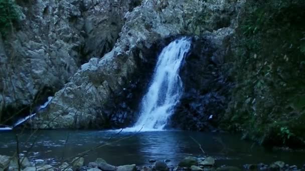 Kaskade Wasserfall Landschaft Wald — Stockvideo