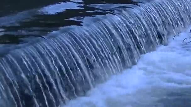 Landschaft Wasserfall Grün Natürlich — Stockvideo