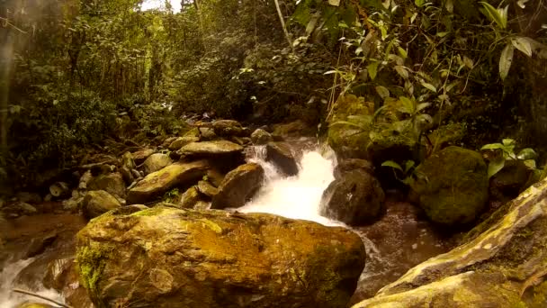 Natura Woda Kamień Krajobraz Creek — Wideo stockowe