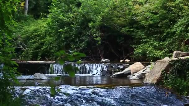 Wodospad Krajobraz Zielony Świeży — Wideo stockowe