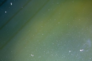 Gündoğumu, sakin hava bataklıkta yüzeyi.