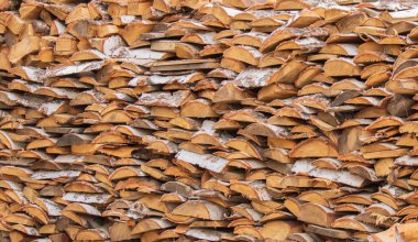 Köy. Kırsal. Huş ağacı yapılan yakacak odun yığını. Kış dönemi için yakacak odun hazırlanması.