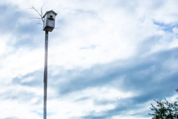 Villaggio Rurale Cielo Prima Della Pioggia Casetta Degli Uccelli Sullo — Foto Stock