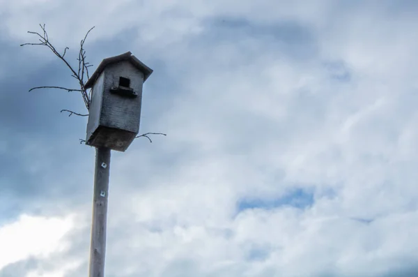 Villaggio Rurale Cielo Prima Della Pioggia Casetta Degli Uccelli Sullo — Foto Stock