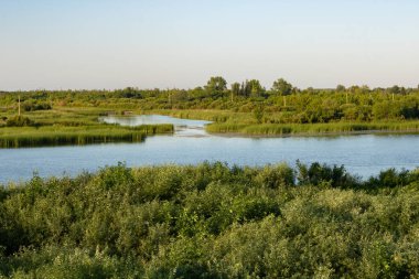 Ishim Nehri. Kuzey Kazakistan'ın doğası. Sunrise.