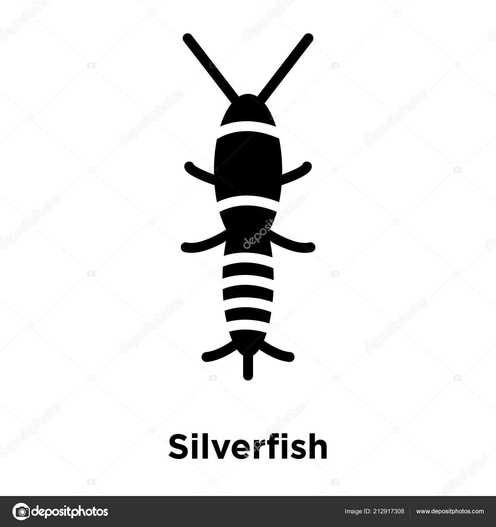 Silverfish Icon Vector Isolated White Background Logo Concept