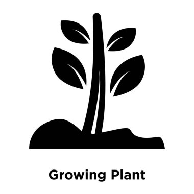 Beyaz arka plan, logo şeffaf arka plan, büyüyen bitki işareti kavramı üzerinde izole büyüyen bitki simge vektör siyah sembol dolu