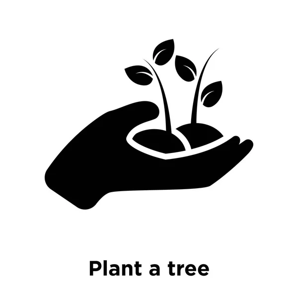 Plante Vetor Ícone Árvore Isolado Fundo Branco Conceito Logotipo Plante — Vetor de Stock