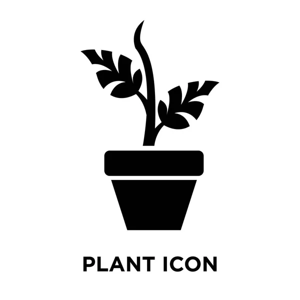 Vetor Ícone Planta Isolado Fundo Branco Conceito Logotipo Sinal Planta — Vetor de Stock