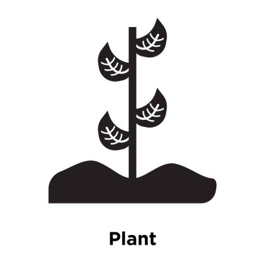 Beyaz arka plan, logo şeffaf arka plan bitki işareti kavramı üzerinde izole bitki simge vektör siyah sembol dolu