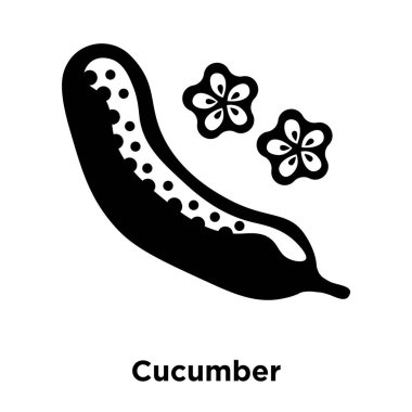 Beyaz arka plan, logo şeffaf arka plan, salatalık işareti kavramı üzerinde izole salatalık simge vektör siyah sembol dolu