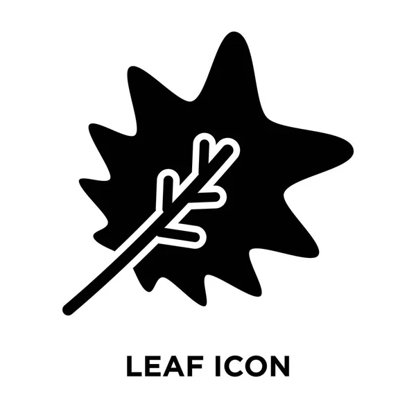 Icono Hoja Vector Aislado Sobre Fondo Blanco Concepto Logotipo Leaf — Archivo Imágenes Vectoriales