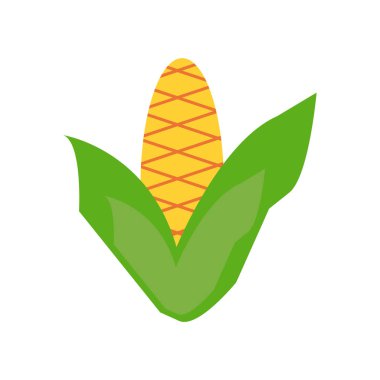 Mısır koçanı simge vektör beyaz zemin üzerine, Mısır koçanı izole işareti