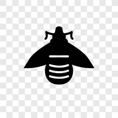 Saydam arka plan üzerinde arı şeffaflık logo kavramı izole arı vektör simgesi