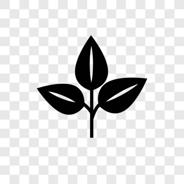 Saydam arka plan üzerinde yaprak şeffaflık logo kavramı izole yaprak vektör simgesi