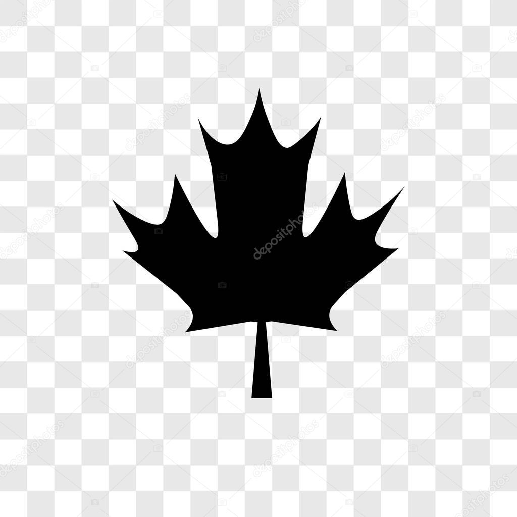 Maple leaf vector icon isolated on transparent background, Maple leaf transparency logo concept