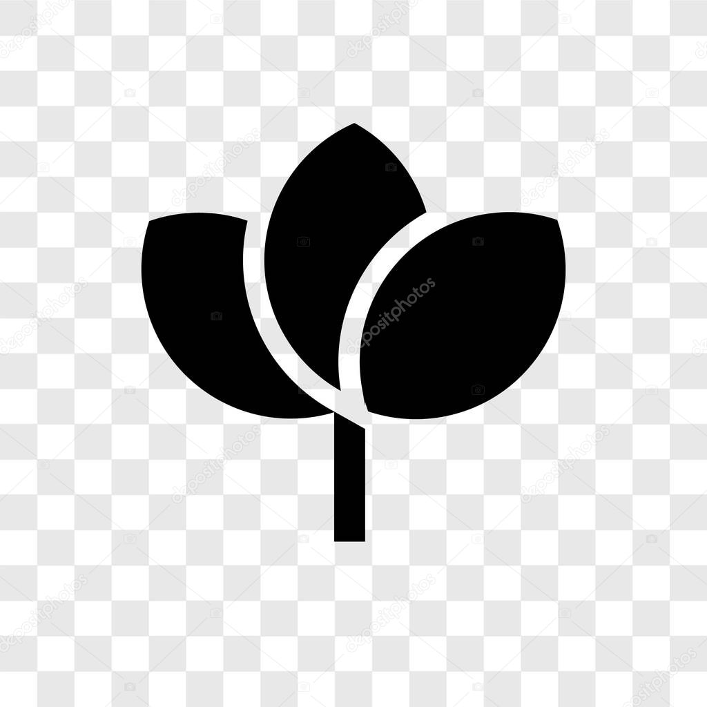 Leaf vector icon isolated on transparent background, Leaf transparency logo concept