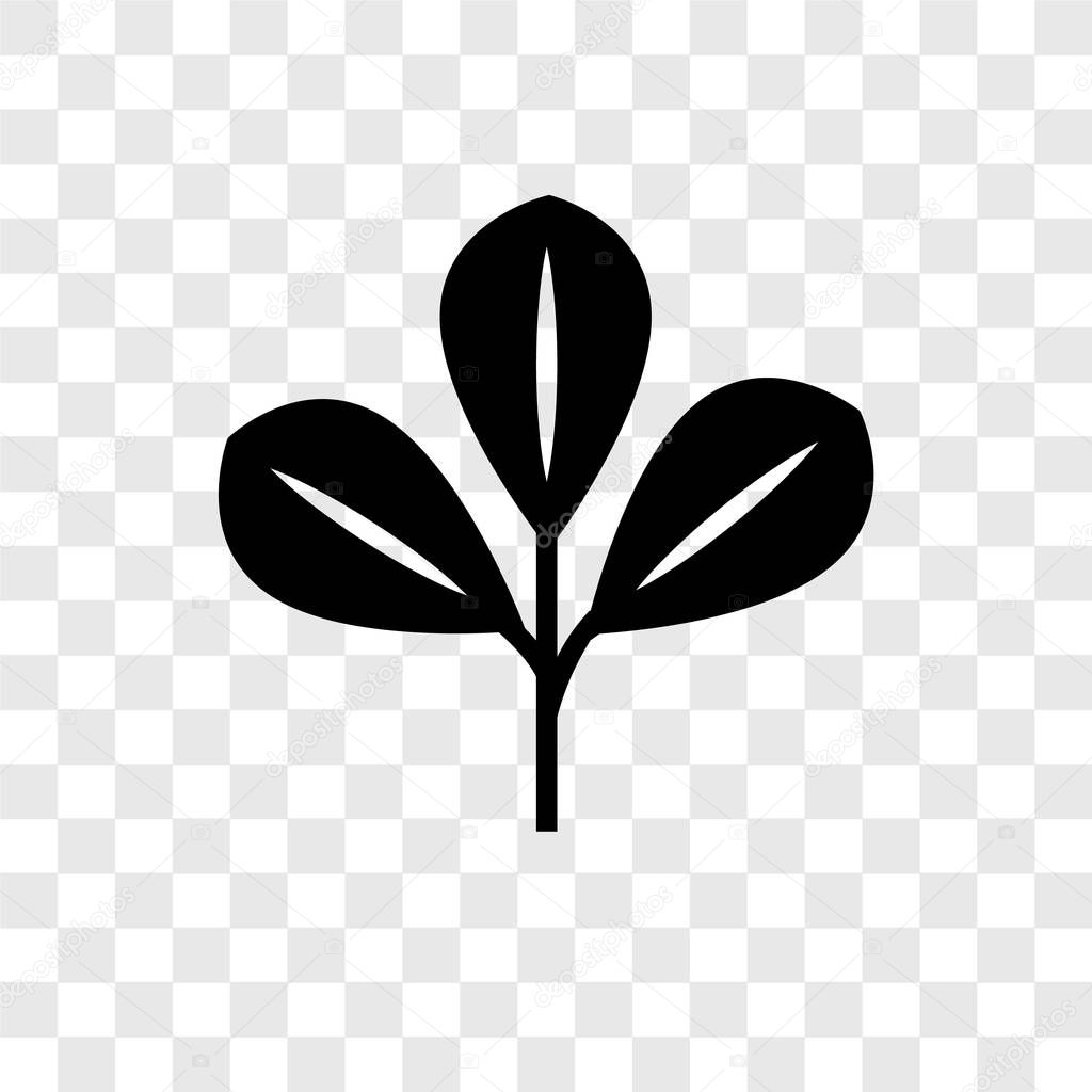 Leaf vector icon isolated on transparent background, Leaf transparency logo concept