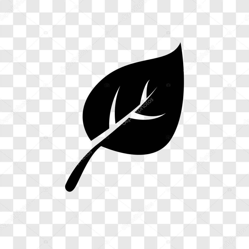 Leaf vector icon isolated on transparent background, Leaf transparency logo concept