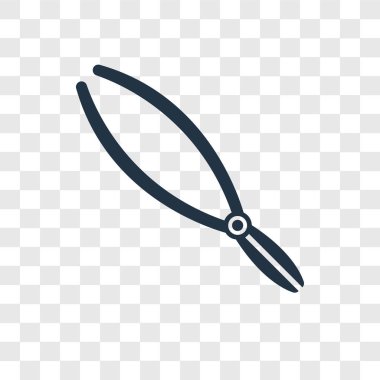 modaya uygun bir tasarım tarzı kaş kutsal kişilerin resmi. kaş kutsal kişilerin resmi şeffaf arka plan üzerinde izole. Kaş vektör simgesi basit ve modern düz simgesi web sitesi, mobil, logo, app, UI. Kaş simge vektör çizim, Eps10.