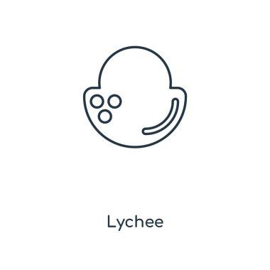 modaya uygun bir tasarım tarzı Lychee simgesi. Beyaz arka plan üzerinde izole lychee simgesi. Lychee vektör simgesi basit ve modern düz simgesi web sitesi, mobil, logo, app, UI. Lychee simge vektör çizim, Eps10.