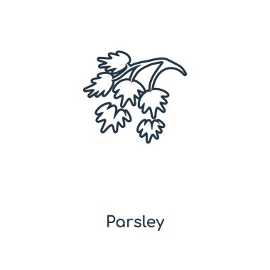 modaya uygun bir tasarım tarzı maydanoz simgesi. Beyaz arka plan üzerinde izole maydanoz simgesi. maydanoz vektör simgesi basit ve modern düz simgesi web sitesi, mobil, logo, app, UI. maydanoz simge vektör çizim, Eps10.