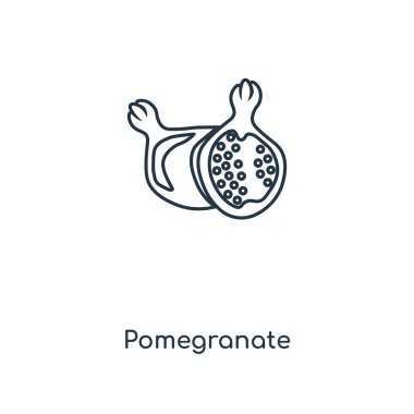 modaya uygun bir tasarım tarzı nar simgesi. Beyaz arka plan üzerinde izole nar simgesi. Nar vektör simgesi basit ve modern düz simgesi web sitesi, mobil, logo, app, UI. Nar simge vektör çizim, Eps10.