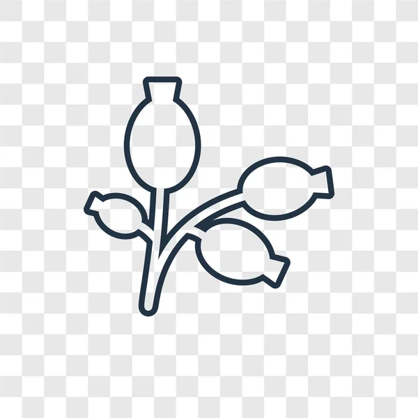 Значок Троянди Каніни Модному Стилі Дизайну Піктограма Троянди Ізольована Прозорому — стоковий вектор