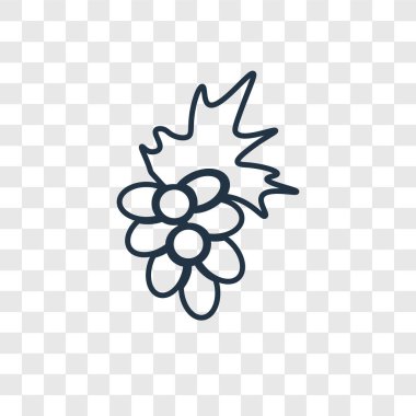 modaya uygun bir tasarım tarzı üzüm simgesi. saydam arka plan üzerinde izole üzüm simgesi. üzüm simgesi basit vektör ve modern düz UI uygulaması, web sitesi, mobil, logo, sembol. üzüm simge vektör çizim, Eps10.