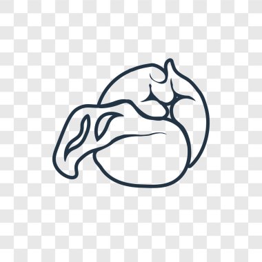 modaya uygun bir tasarım tarzı lahana simgesi. lahana simgesi üzerinde şeffaf arka plan izole. lahana vektör simgesi basit ve modern düz simgesi web sitesi, mobil, logo, app, UI. lahana simge vektör çizim, Eps10.