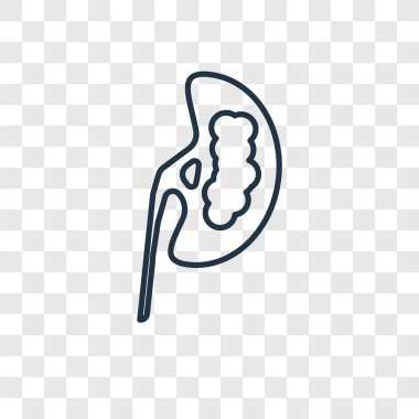 modaya uygun bir tasarım tarzı hapları simgesi. hapları simgesi üzerinde şeffaf arka plan izole. hapları simgesi basit vektör ve modern düz UI uygulaması, web sitesi, mobil, logo, sembol. hapları simge vektör çizim, Eps10.