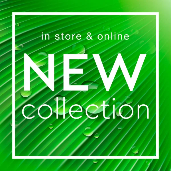 Nieuwe Collectie Sociale Mediasjabloon Voor Online Winkel Groene Palm Blad — Stockvector